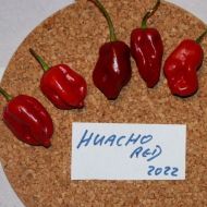 🌶️ Chili Pepper Seeds - Huancho Red - 15 pieces