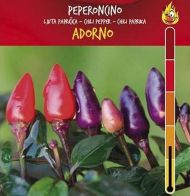 🌶️ Chili Pepper Seeds - Italiano Adorno - 15 pieces