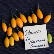 🌶️ Chili Pepper Seeds - Pimenta La Macarena - 15 pieces