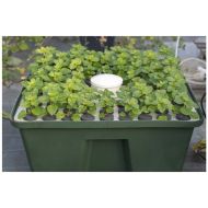 Hydroponic system for cuttings / clones - T.A. HydroCloner Spinner 72