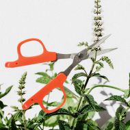 Професионална Японска ножица  CHIKAMASA B-220S 