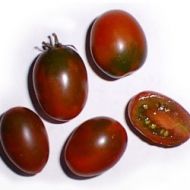 Tomato - Black Plum - 15 seeds