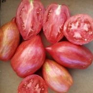 Tomato Roma - Streak Lightning - 15 seeds