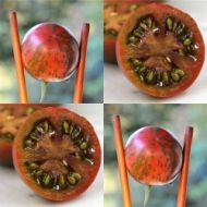 Cherry tomatoes - Violet Jasper - 15 seeds
