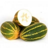 🥒 Cucumber - CURRY CUCUMBER - Burpees Prolific F1