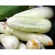 Cucumber - White Wonder - 30-40 seeds (1 gram)