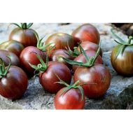 Cherry tomatoes - Black Cherry - 25 seeds