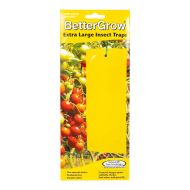 BetterGrow insect traps, rectangular, 10 pcs
