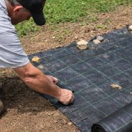 Weed control cover (agrotextile) made of non-woven fabric 50 g/m² Black – 1.1 m x 100 m