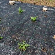 Weed control cover (agrotextile) made of non-woven fabric 50 g/m² Black – 1.1 m x 100 m
