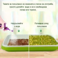 🌱 Microgreen germination tray set with mesh and lid, dimensions 24/32cm