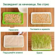 🌱 Microgreen germination tray set with mesh and lid, dimensions 24/32cm