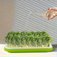 🌱 Microgreen germination tray set with mesh and lid, dimensions 24/32cm