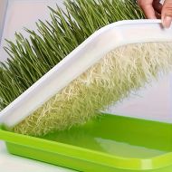 🌱 Microgreen germination tray set with mesh and lid, dimensions 24/32cm