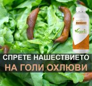Лимикс 1л - срещу охлюви