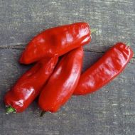 "Piment de la Bresse" Chili pepper seeds - 15 pcs.