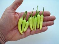 "White Rawit" Chili pepper seeds - 10 pcs.