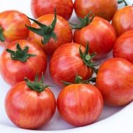 Bumble Bee Pink - cherry tomatoes - 15 seeds