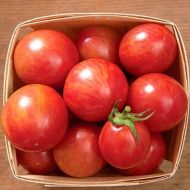 Bumble Bee Pink - cherry tomatoes - 15 seeds
