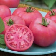 Big Pink F1- beefsteak tomato -15 seeds
