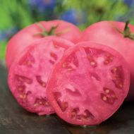 Big Pink F1- beefsteak tomato -15 seeds