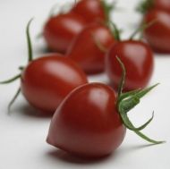 Gardenberry F1 Cherry Tomatoes  seeds - 10 pcs.