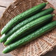 El Toro F1 Cucumber - 10 seeds