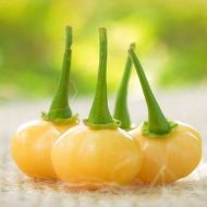 Aji Charapita Peach - 15 pcs. seeds