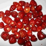 Dundicut - 15 seeds