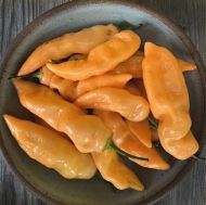 Шугър Ръш Портокал (Sugar Rush Orange) - 15 бр. семена