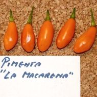 Pimenta La Macarena - 15 seeds