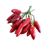 Little Devil Calabrese (Diavolicchio Calabrese) - 25 pcs. seeds