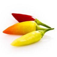 Starburst - 15 pcs. seeds