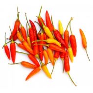 Nepali Orange - 15 pcs. seeds