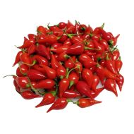 Червено копче (Button Red) - 15 бр. семена