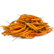 Orange Thai - 15 seeds