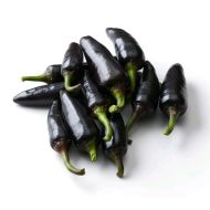 Explosive Ember / Royal Black - 15 seeds