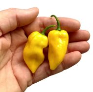 Habanero Lemon - 15 seeds