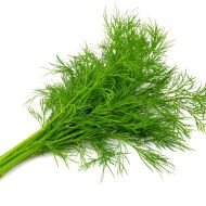 Dill seeds - 4500 pcs. / 5 g.