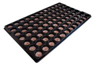 Jiffys 33mm  подложка 84 Cell Tray/for Jiffys-7