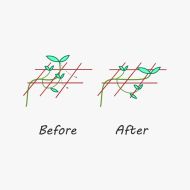 Мрежа за поддръжка на растения 120 x120cm. Ф21