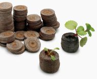 Jiffy-7 33mm. - Pressed peat pellets / plugs / washers - 100pcs.