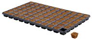 Eazy Plug CT77 tray 77 pcs. - Plugs / blocks for rooting and seedlings