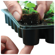 ROOTIT Propagator Tray Insert with 60 holes